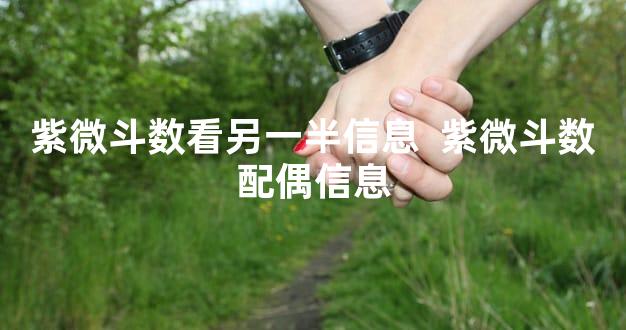 紫微斗数看另一半信息  紫微斗数配偶信息